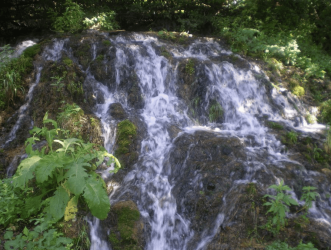 IMGP2586