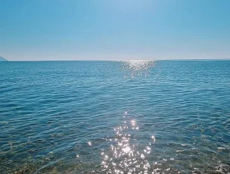 Nea Flogita