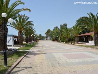 nea-flogita-halkidiki-grcka-24