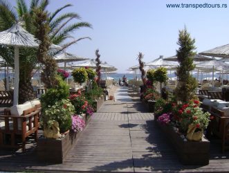 nea-flogita-halkidiki-grcka-501