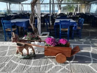 Nea Flogita - Grčka - Halkidiki